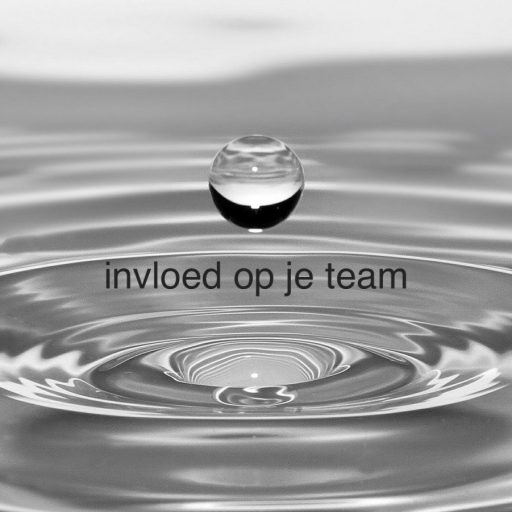 Invloed op je team